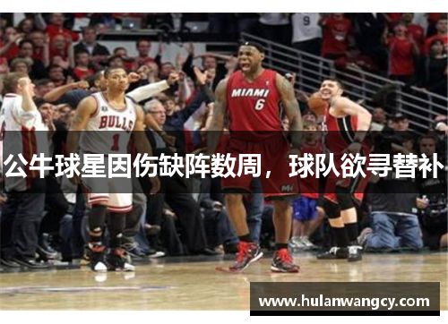 公牛球星因伤缺阵数周，球队欲寻替补